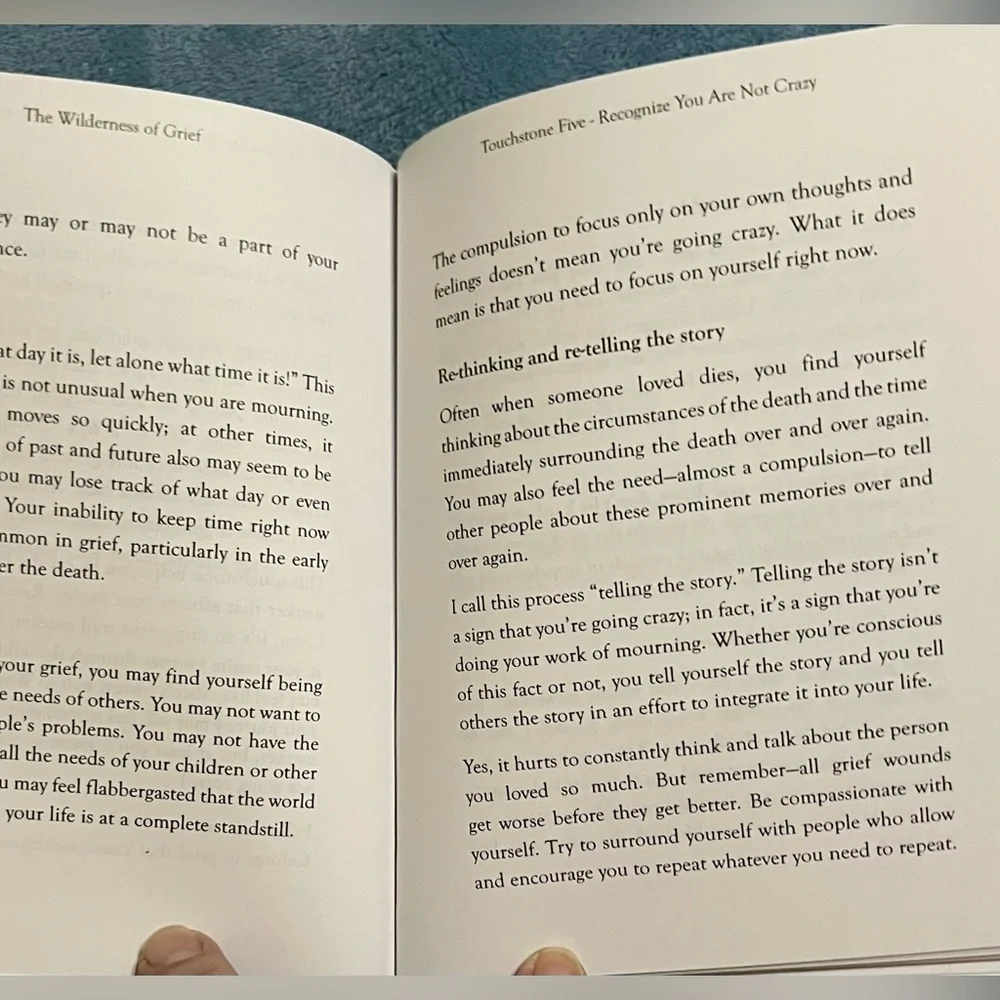 The Wilderness of Grief Book - New!